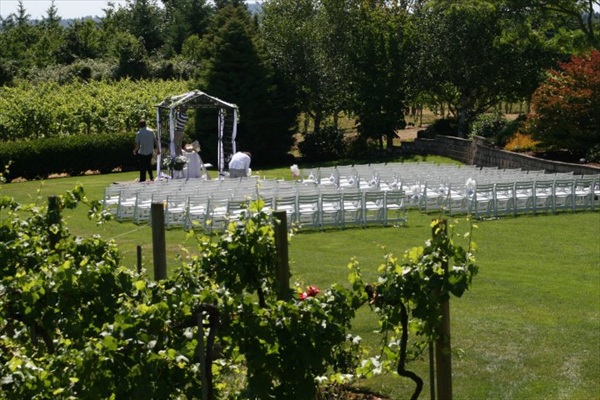 Weddings and Receptions at Austin Wineries and Vineyards